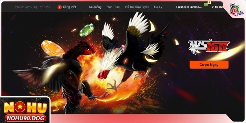 Giới thiệu khái quát về trang tin tức NOHU90